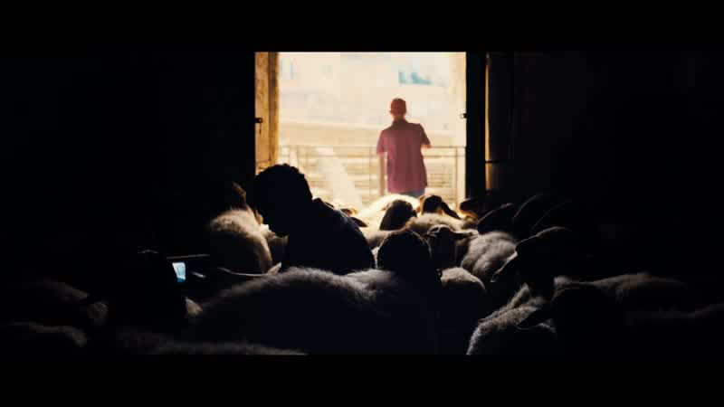 Hello? - Let the sheep out, k/o'. - Why?