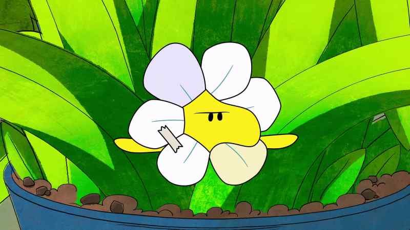 Hello, little bird. How are you today?