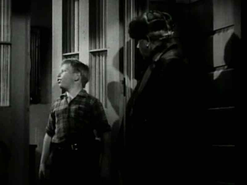 Hello, my little man, may I use your telephone?