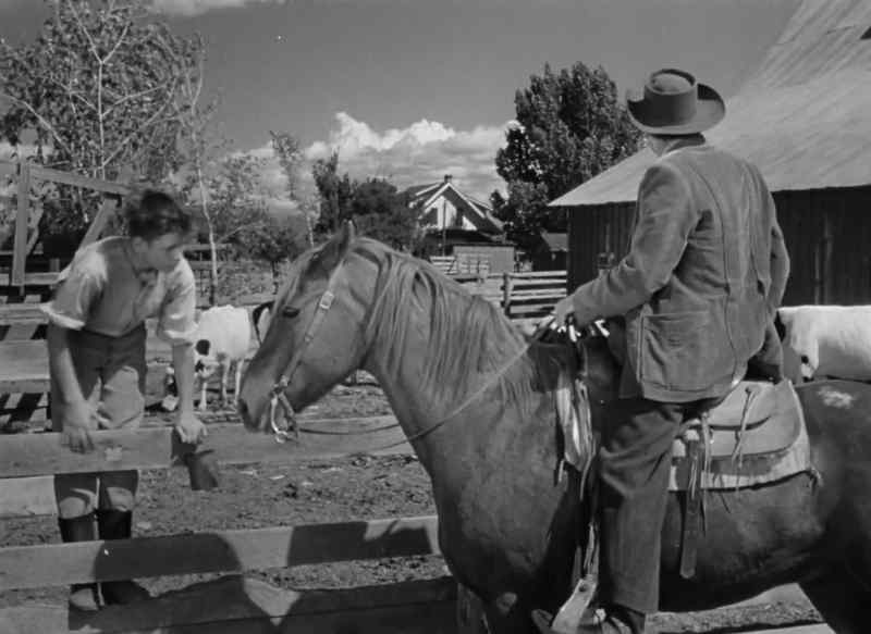 Hello, mister. - Howdy