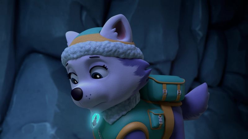 Hello? Ryder, come in