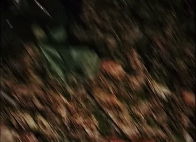 Hello? Oh, shit. It's fucking freezing. There. What? I hear it. I don't hear shit. You hear that?