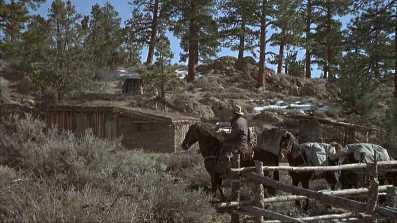 Hello, the shack!