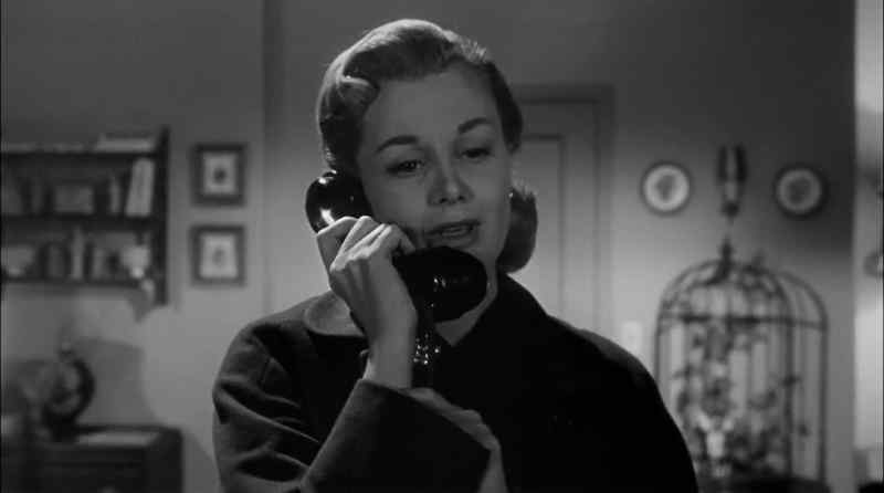 Hello? Yes, Eddie, we were cut off