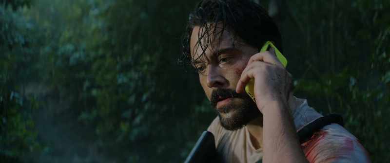 Hello, you've reached wild cat tracking