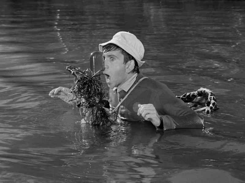 Help! A sea monster