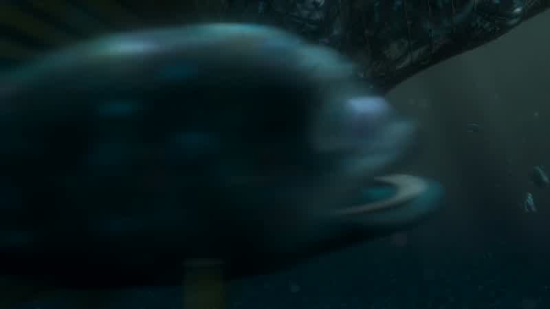 Help! He-e-elp! - Dory! - Come on! Help! Help! Help! Get us out! Aah! No, no, no! Dory! - Dad, I kno