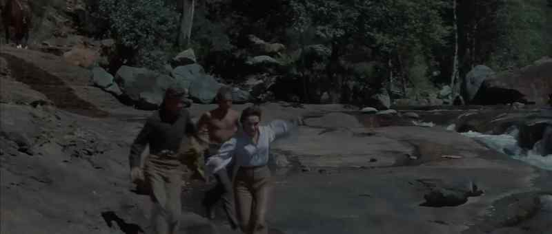 Help! Jenny! Jenny!