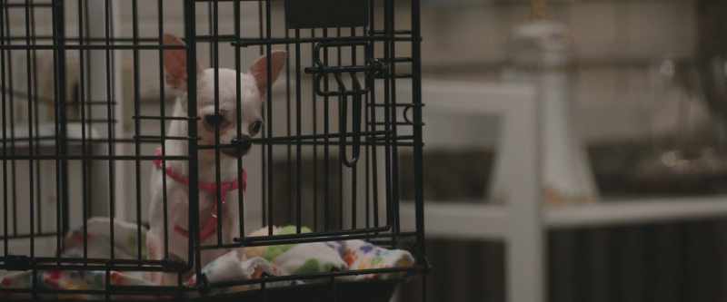 Help. Let me out