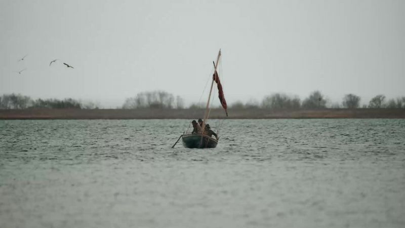Help me! Come on! Get the net!