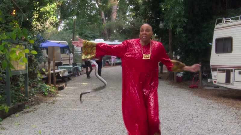 Help me! There's a rattlesnake on my cuff!