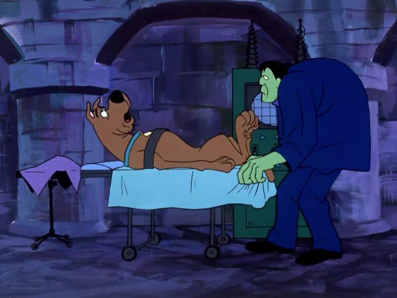 Help Scooby Doo