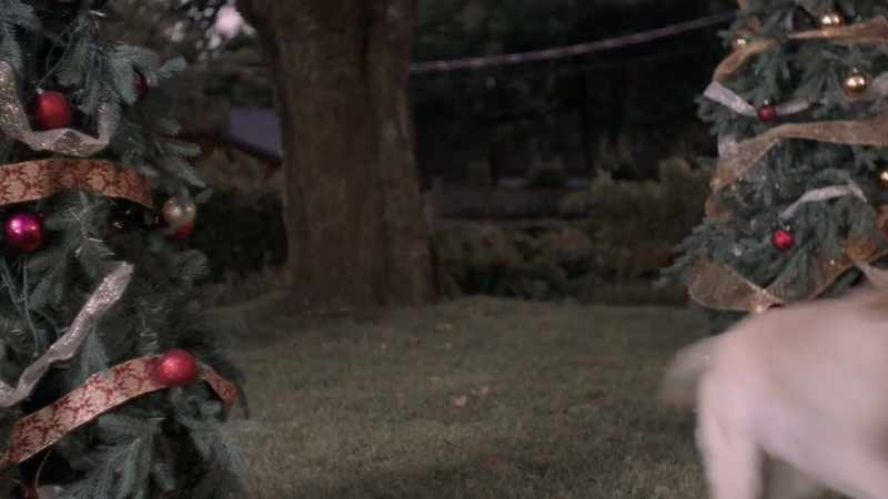 Henry, come here, boy!