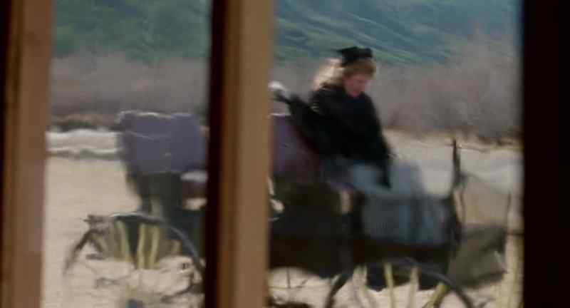 Henry, don't touch that sheep!
