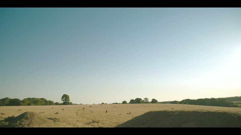 Henry VIII came here to dig. -[Pretty] So I'm told