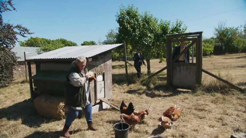 [ Hens clucking ]
