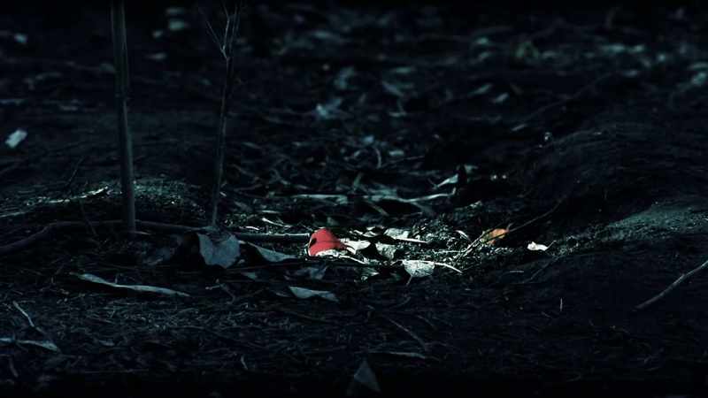 Her body wasn't found for more than two years