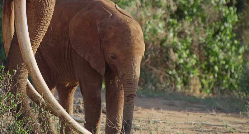 Her most recent daughter, Princess, is a year old