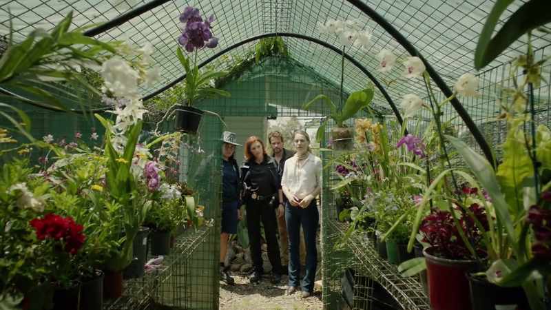 Her orchids