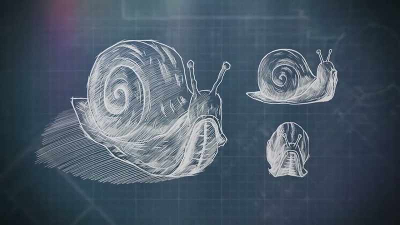 Her supersized snail is also being made from oak