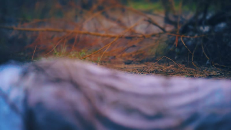 Her underwear was missing at the time her body was recovered