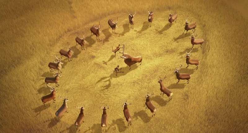 Herd Circle formation