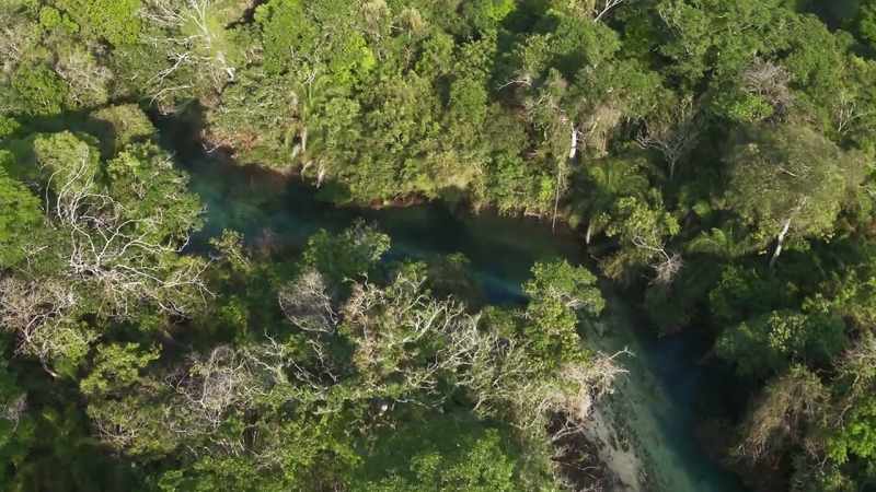 Here, along the Bonito River in Brazil