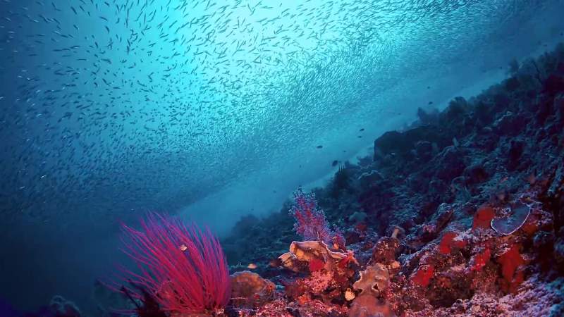 Here at the convergence of two great oceans