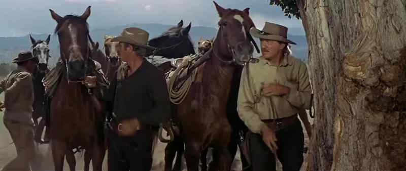 Here, you can put your horse in the corral