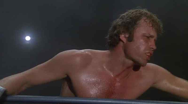 Here, champ!