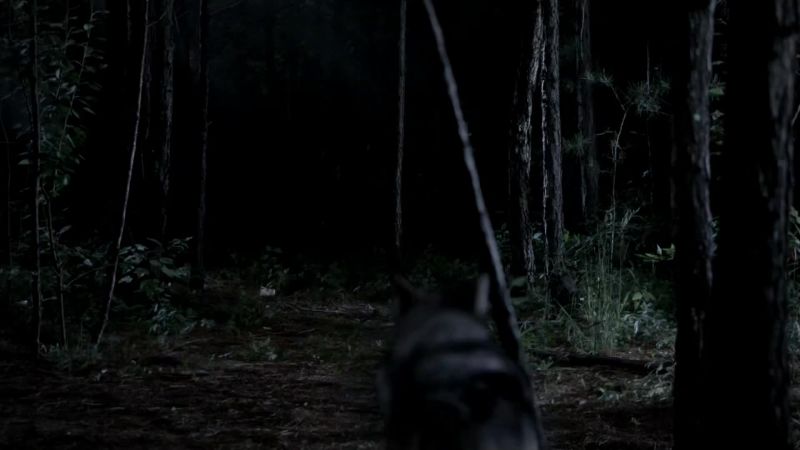 Here, doggie, doggie