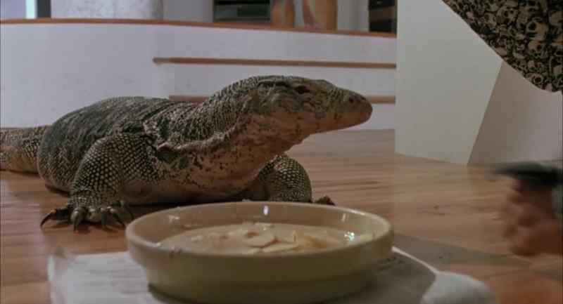 Here we go. Soup's on, my man