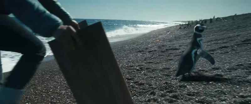 Here. Here