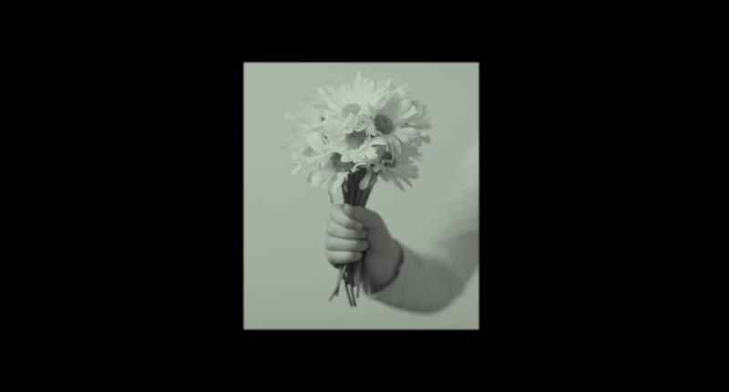 ''Here Here is simple and happy