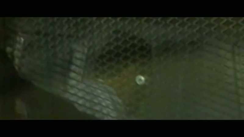 Here is how the killer might have done this