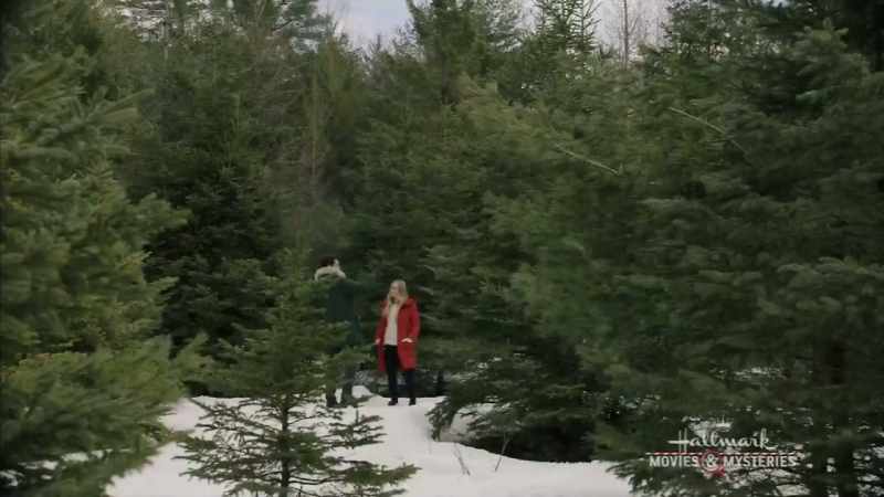 Here I thought a Christmas tree, was just a Christmas tree