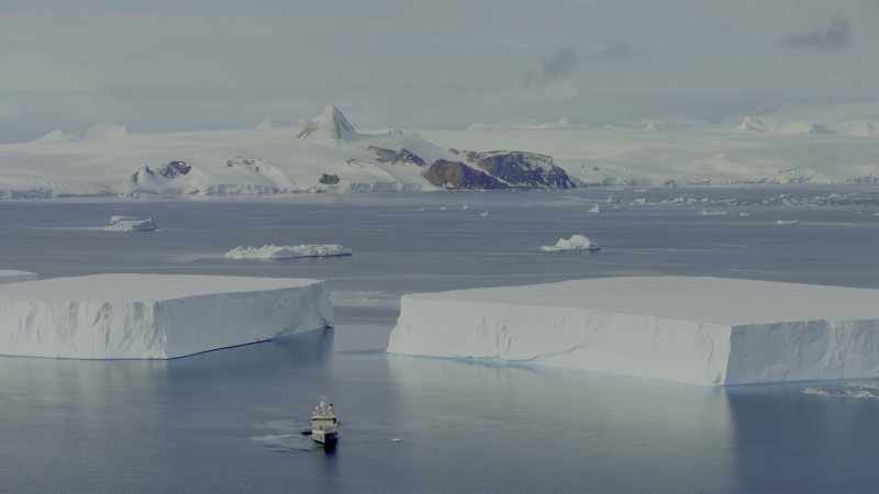 Here in Antarctica