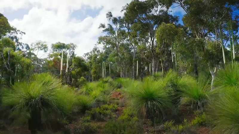 Here in south-western Australia