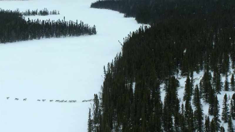 Here, in the deep snow, progress is much harder and slower
