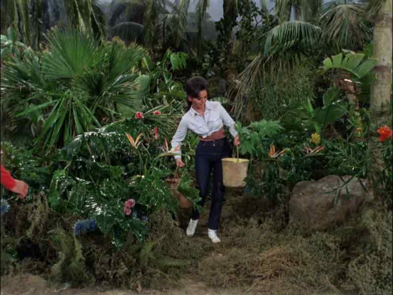 HERE, MARY ANN