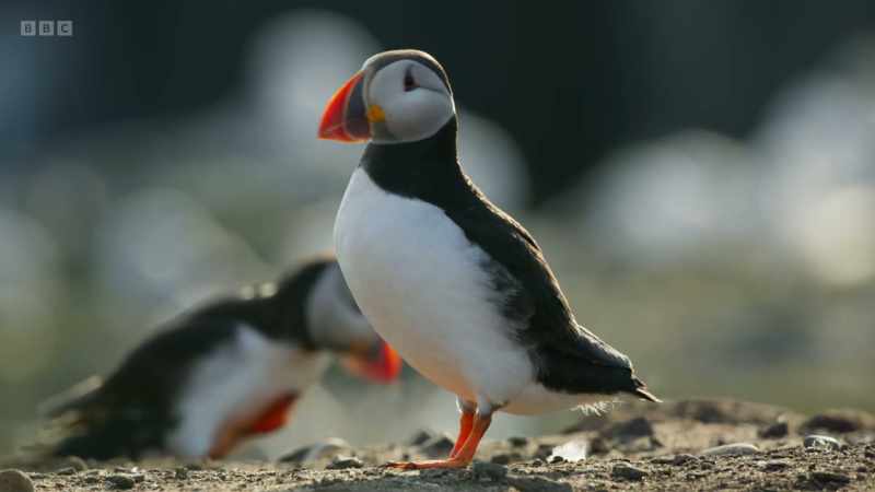 Here off the coast of Pembrokeshire