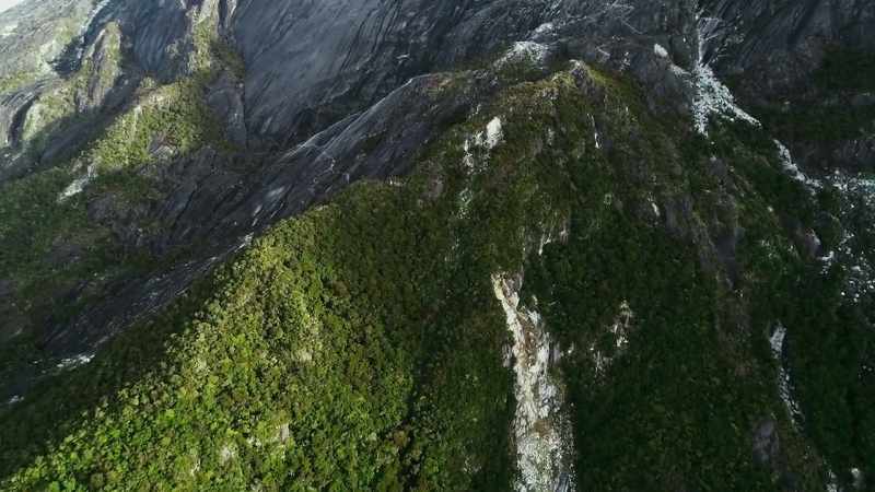 Here, on the slopes of Mount Kinabalu