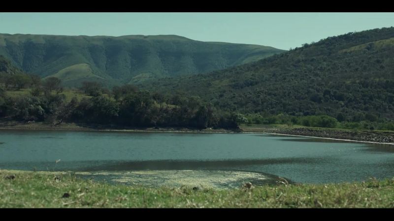 Here, that one. -No, thanks