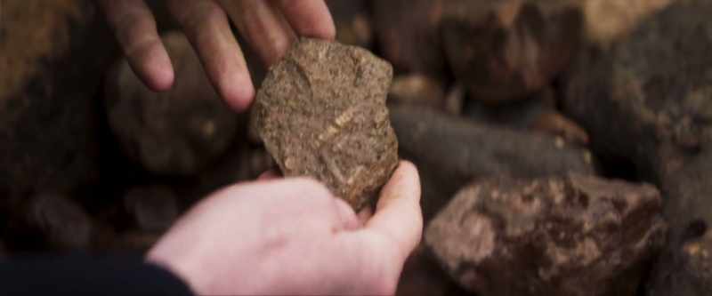 Here, Owen. See this? It's a crinoid