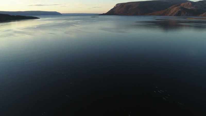Here, each spring, instinct drives fish by the thousands