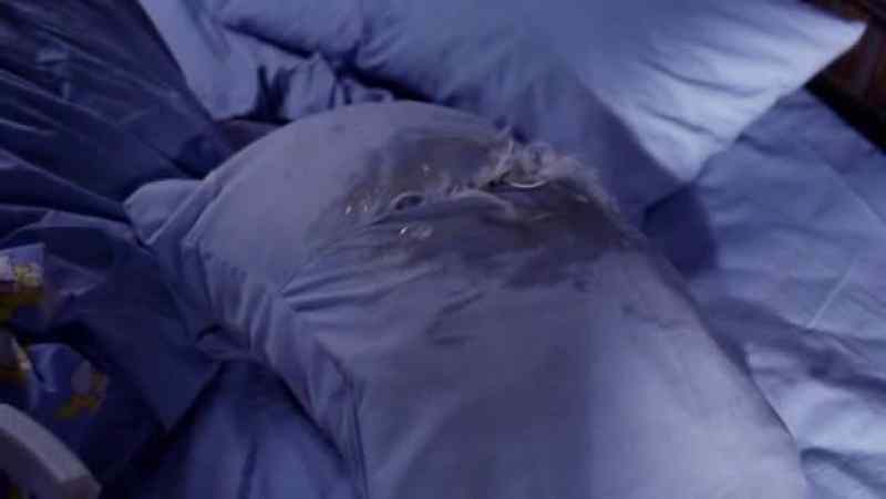 Here You are this whole time, nesting in the pillow?