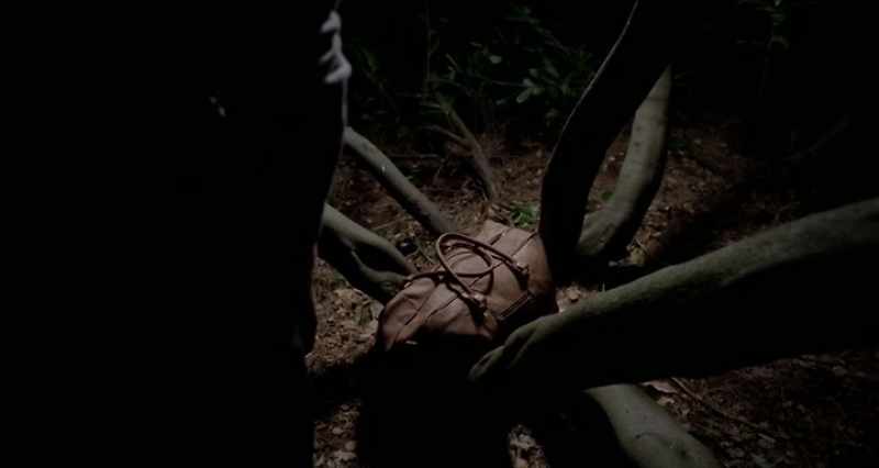 Here's a bag, now what's inside?