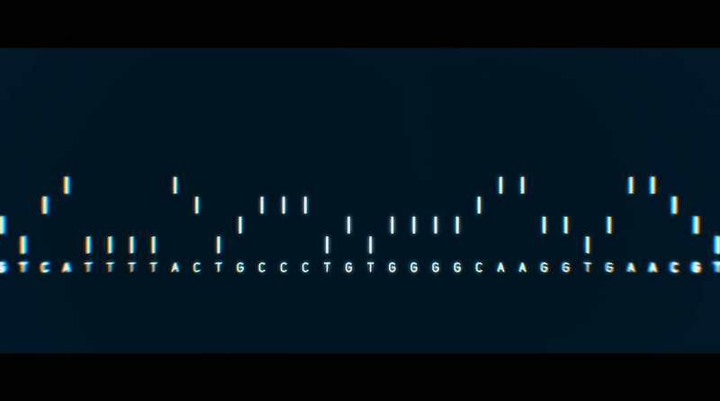 Here's a copy of a human gene