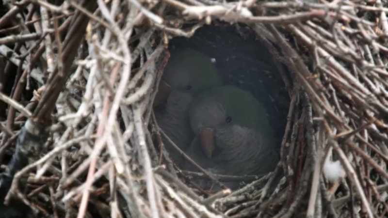 Here's a pro tip