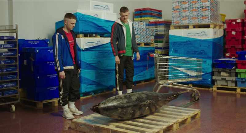 Here's a tip if you're ever thinking about stealing a 400lb fish